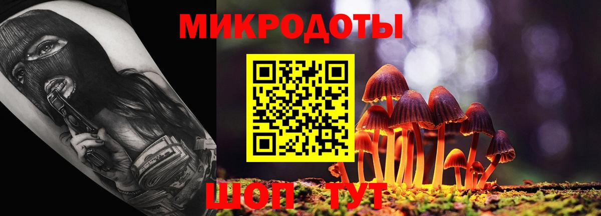 Псилоцибиновые грибы прущие грибы Югорск